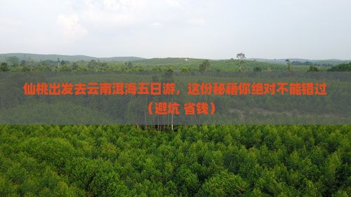 仙桃去云南洱海五日游