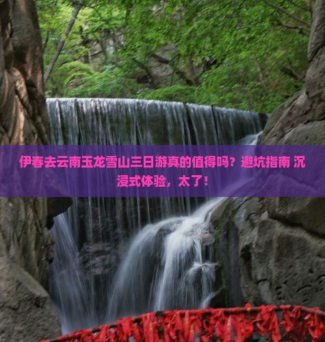伊春去云南玉龙雪山三日游