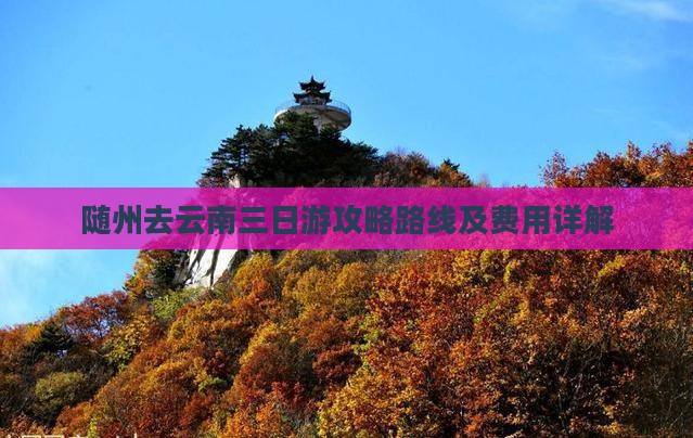 随州去云南三日游
