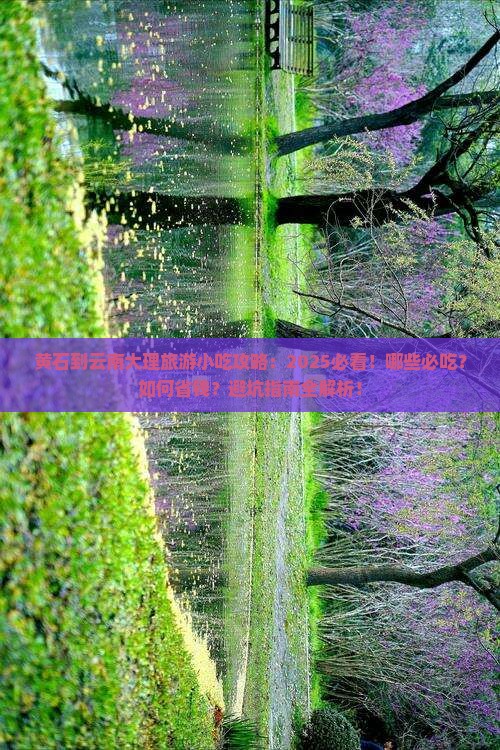 黄石到云南大理旅游小吃