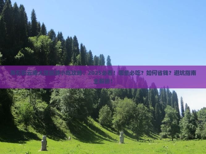 黄石到云南大理旅游小吃