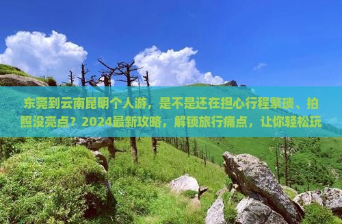 东莞到云南昆明个人游