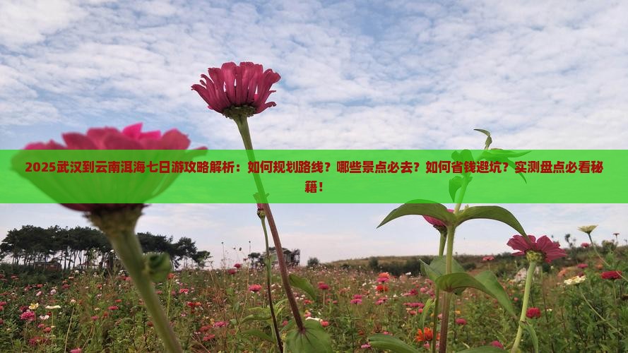 武汉到云南洱海七日游
