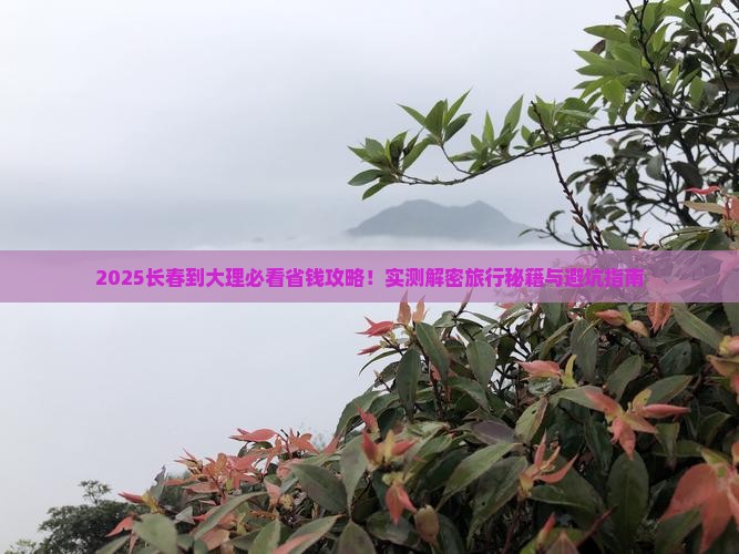 长春到云南大理攻略