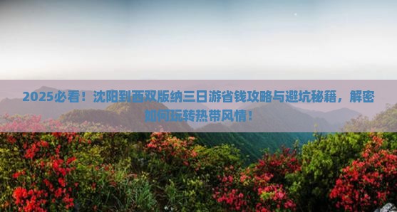 沈阳到云南西双版纳三日游