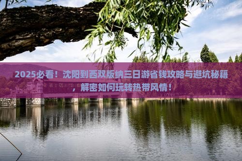 沈阳到云南西双版纳三日游