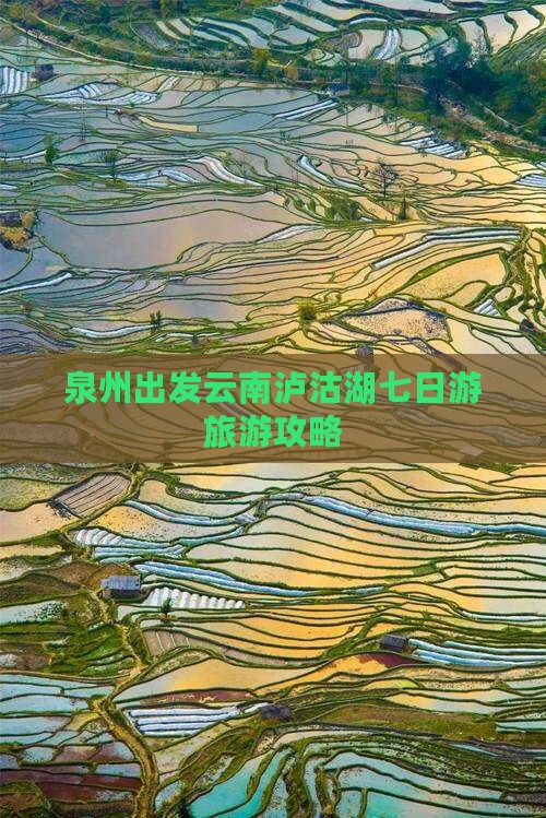 泉州去云南泸沽湖七日游