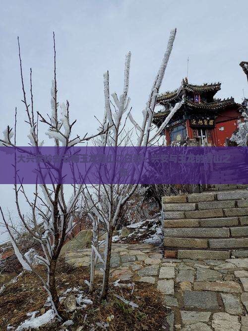 大兴安岭去云南玉龙雪山二日游