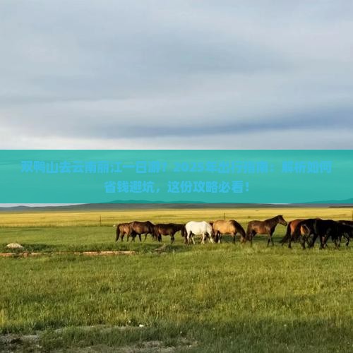双鸭山去云南丽江一日