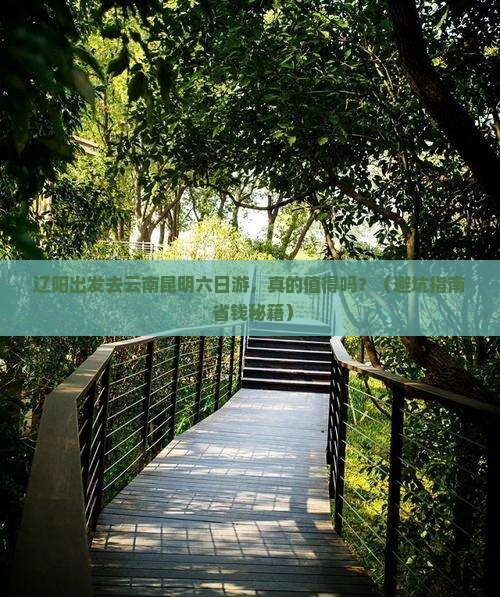 辽阳到云南昆明六日游