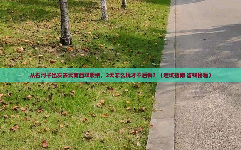 石河子到云南西双版纳二日游