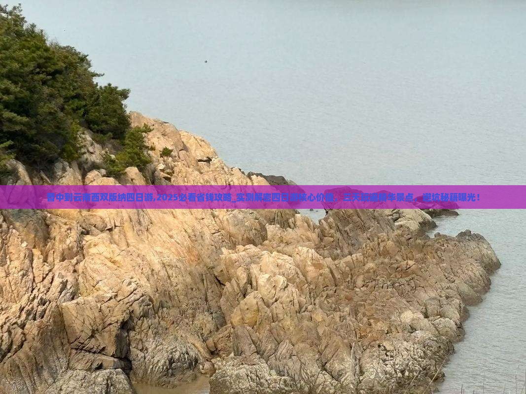 晋中到云南西双版纳四日游