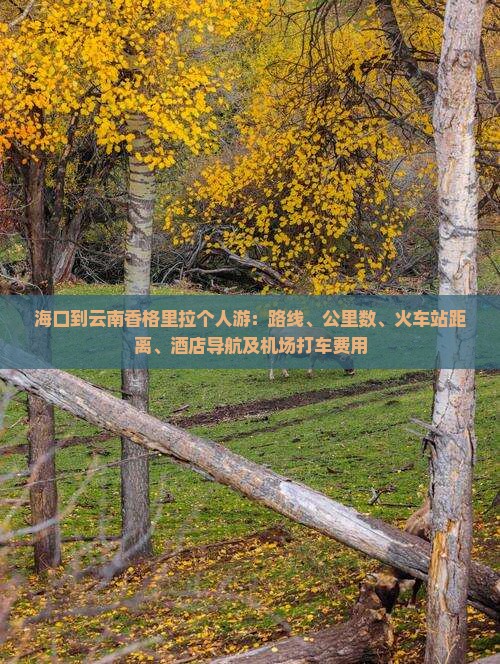 海口到云南香格里拉个人游