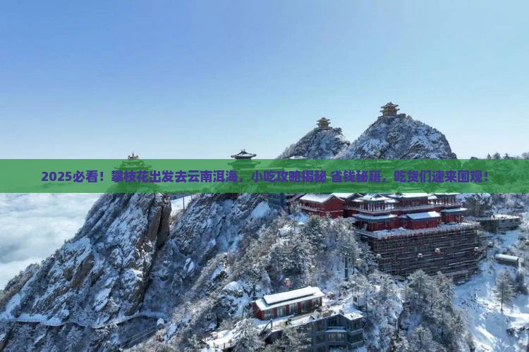 攀枝花去云南洱海旅游小吃