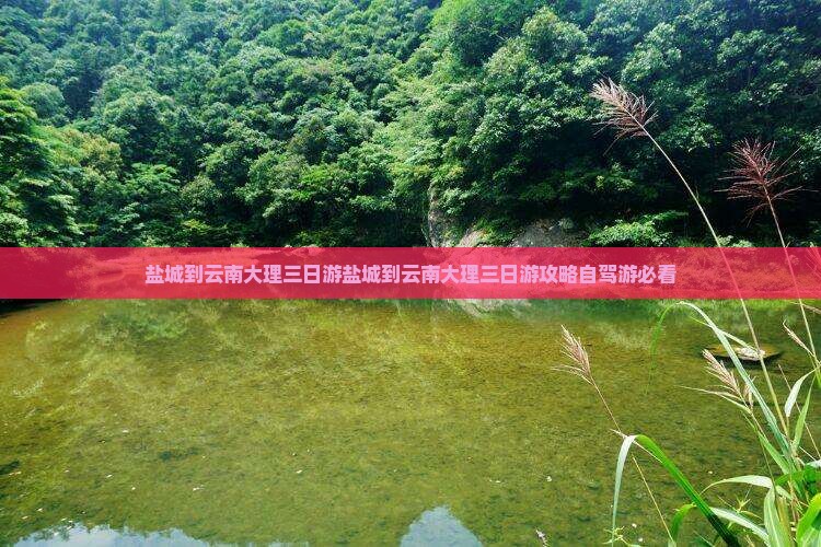 盐城到云南大理三日游