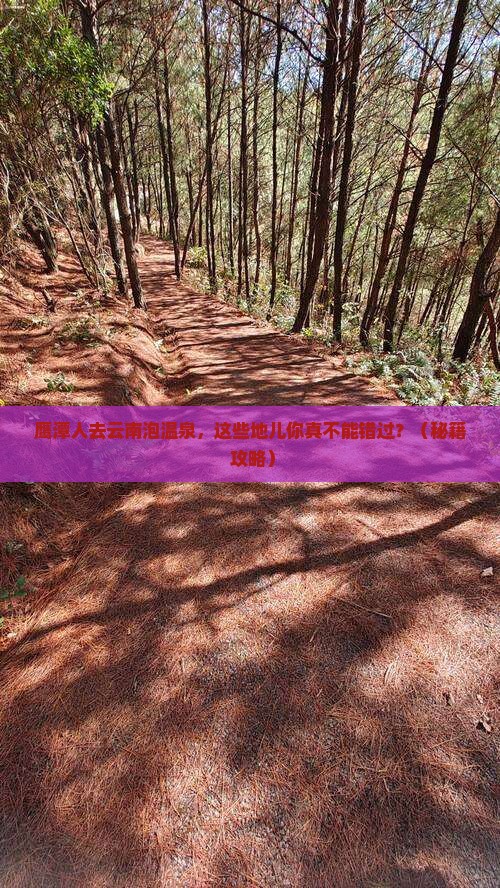 鹰潭去云南温泉必去地