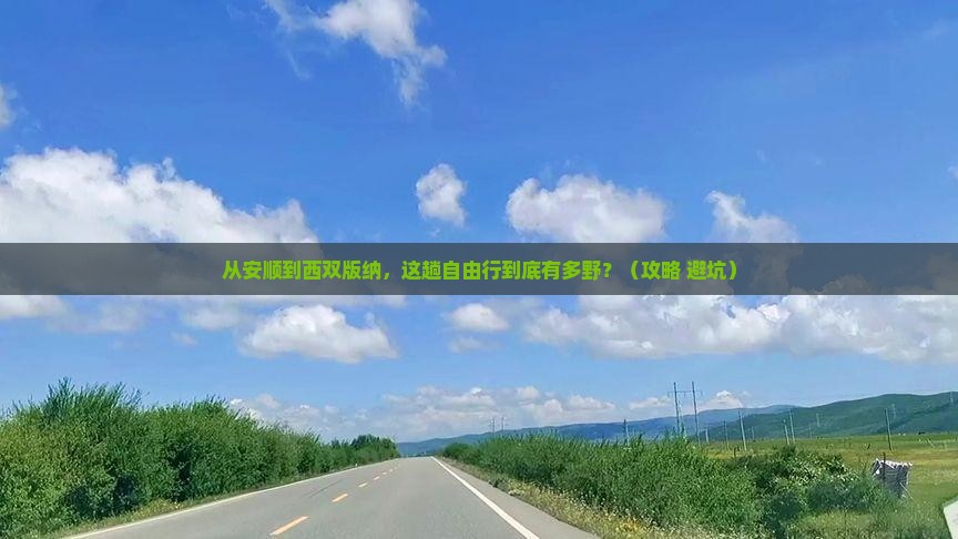 安顺到云南西双版纳自由行