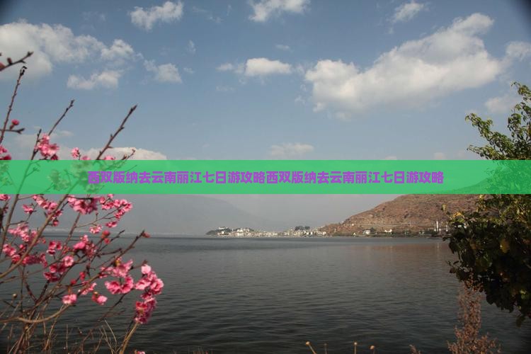 西双版纳去云南丽江七日游