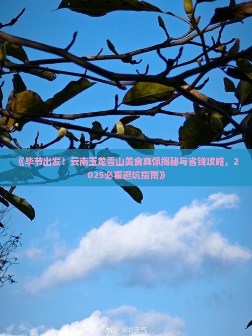 毕节到云南玉龙雪山旅游小吃
