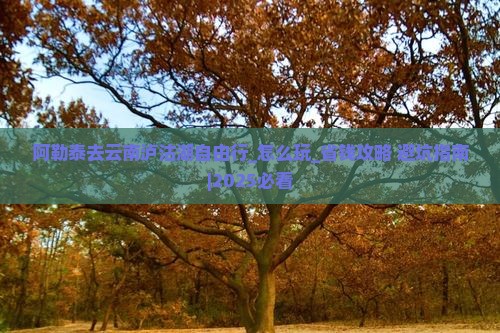 阿勒泰去云南泸沽湖自由行