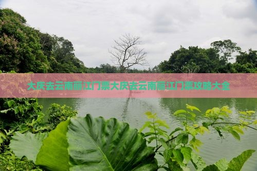 大庆去云南丽江门票