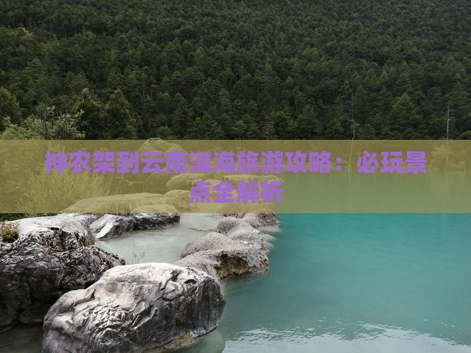 神农架去云南洱海哪里玩