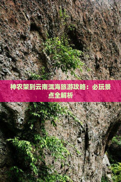 神农架去云南洱海哪里玩