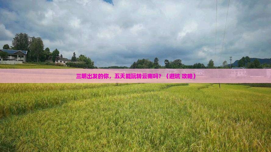 三明到云南五日游