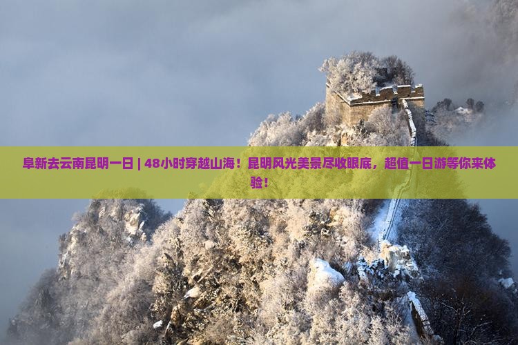 阜新去云南昆明一日