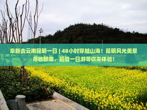 阜新去云南昆明一日