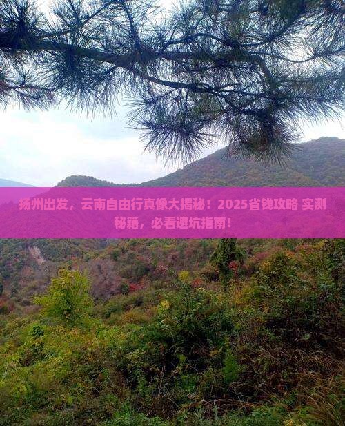 扬州去云南自由团