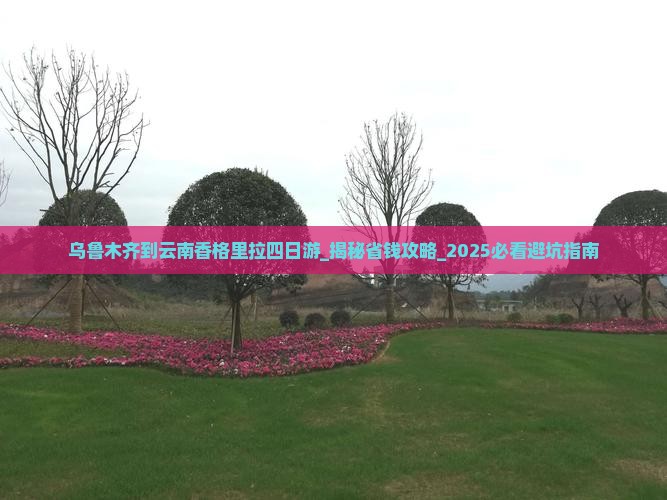 乌鲁木齐到云南香格里拉四日游