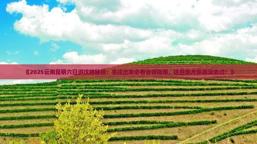 枣庄去云南昆明六日游