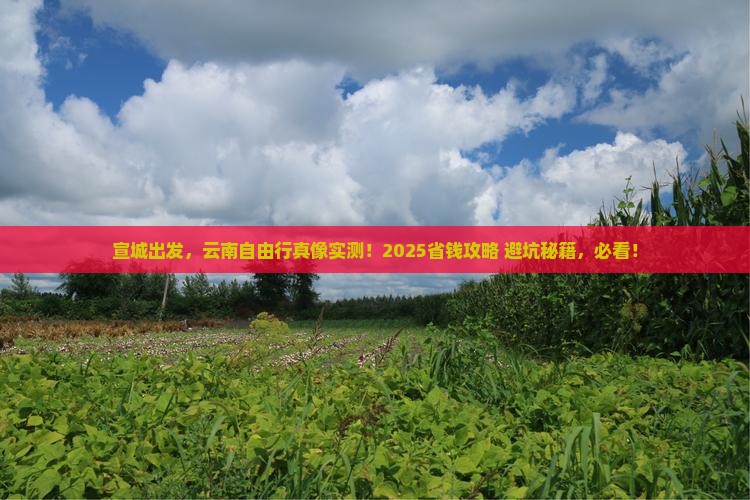 宣城到云南个人游