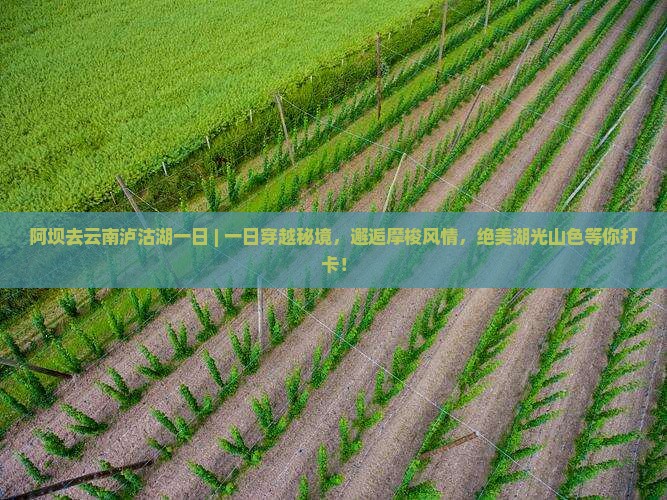 阿坝去云南泸沽湖一日