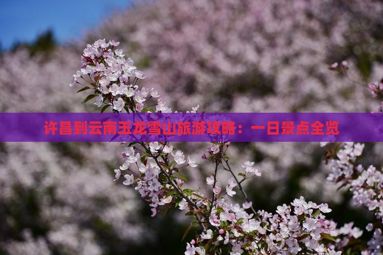 许昌到云南玉龙雪山一日