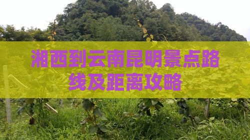 湘西到云南昆明景点