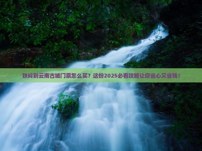 铁岭到云南古城门票