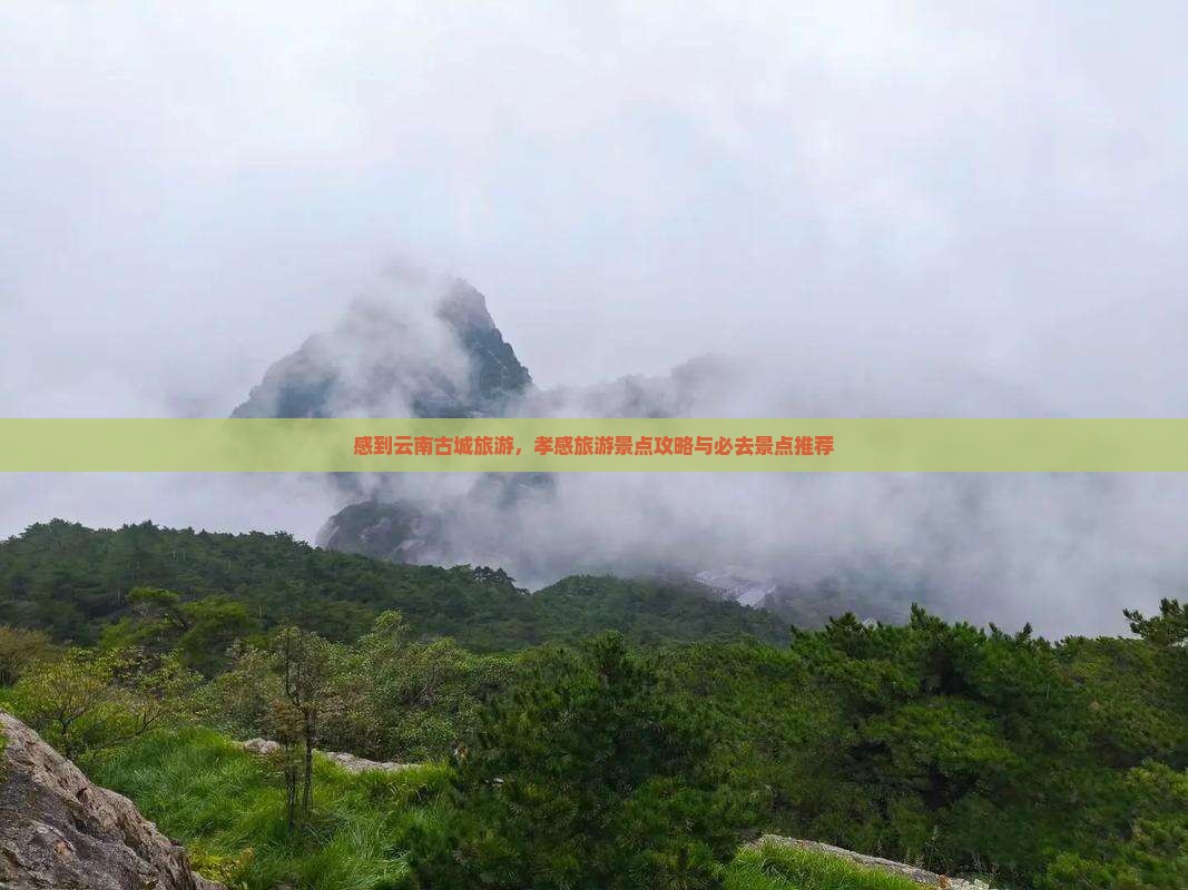 孝感到云南古城旅行社