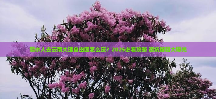 丽水去云南大理自由团
