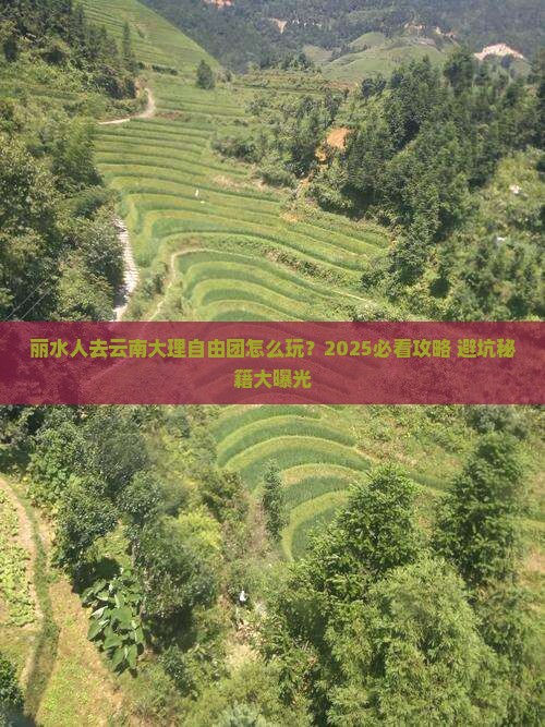 丽水去云南大理自由团