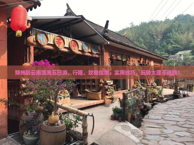 朔州到云南洱海五日游