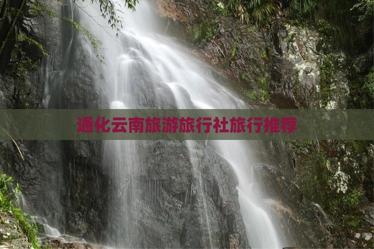 通化去云南旅行社