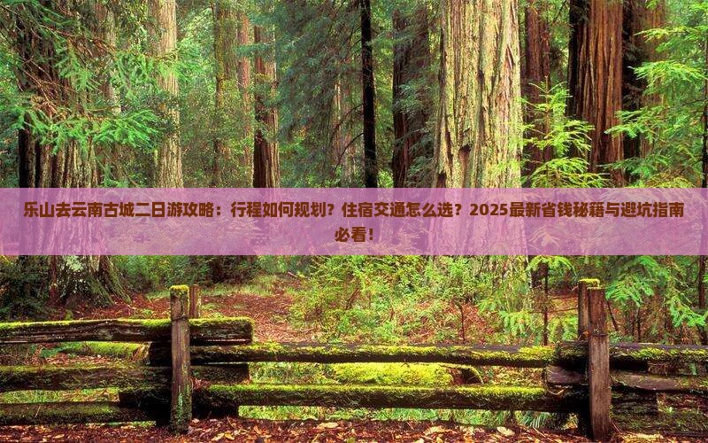 乐山去云南古城二日游