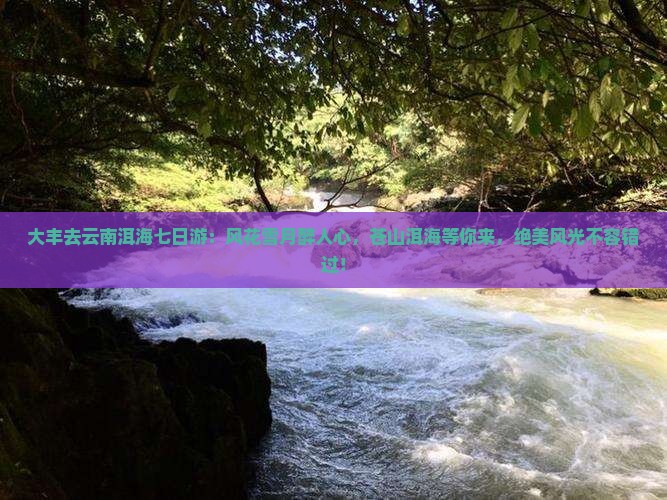 大丰去云南洱海七日游
