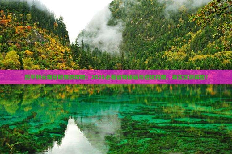 四平到云南昆明旅游