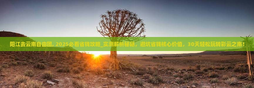 阳江去云南自由团