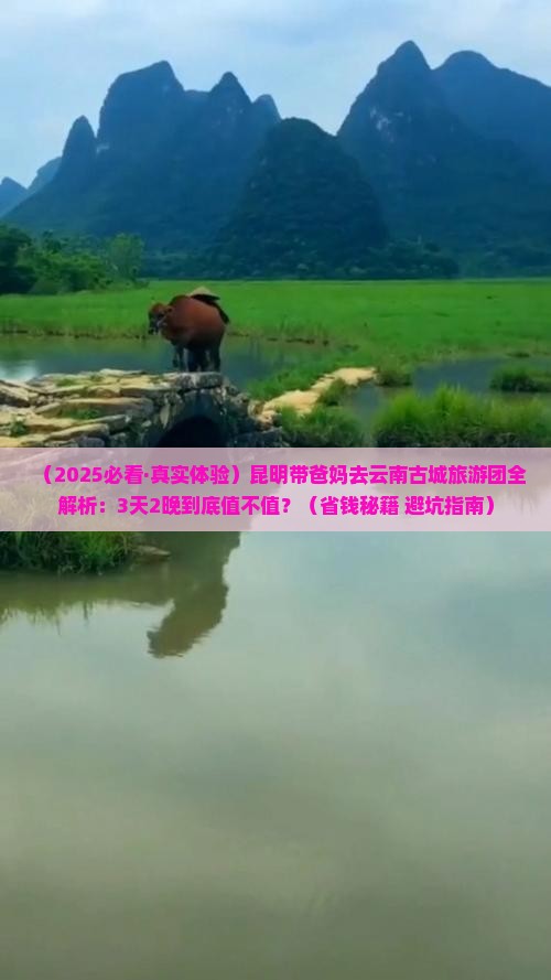 昆明去云南古城大型旅游团