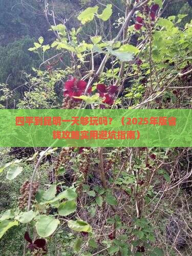 四平去云南昆明一日