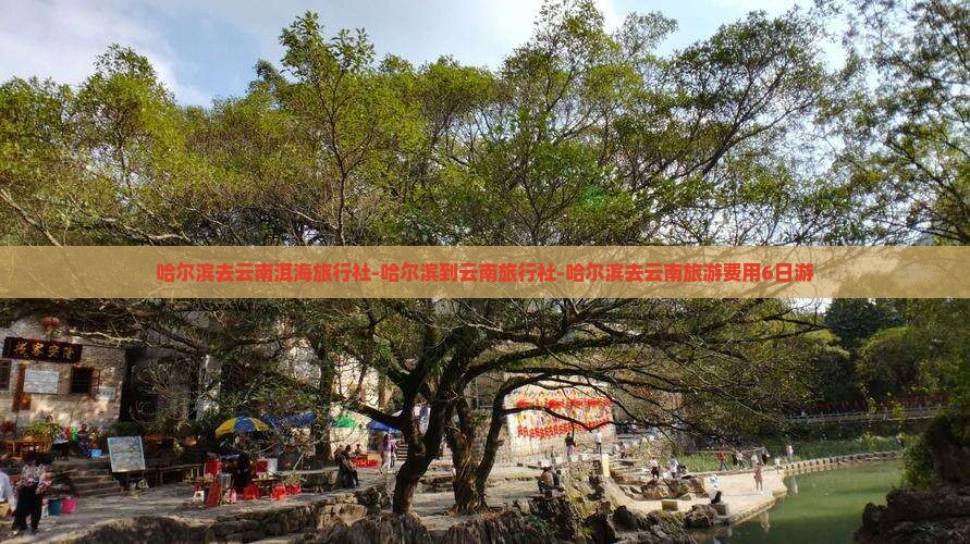 哈尔滨去云南洱海旅行社